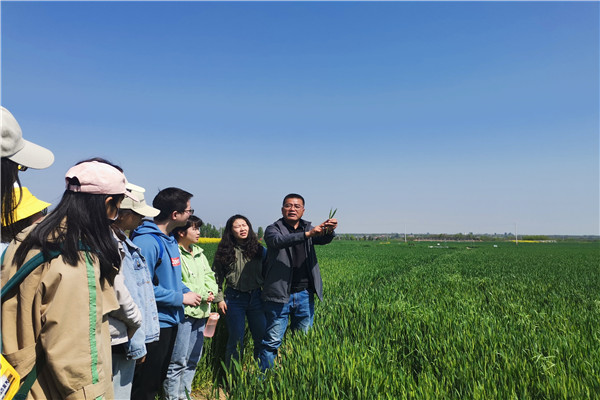 董永利老师给学生讲解小麦杂交方法.jpg