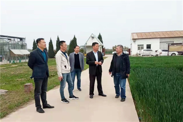 ffc272effa9a49f1a77343fb7117c1a3.jpg 王全玉一行参观曹新庄试验农场.jpg
