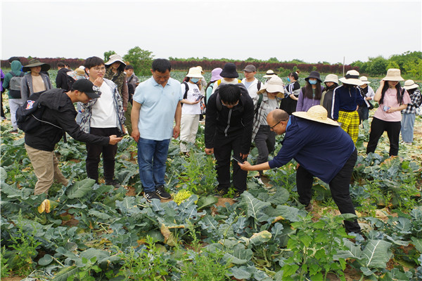 师生开展蔬菜病虫草害调查.jpg
