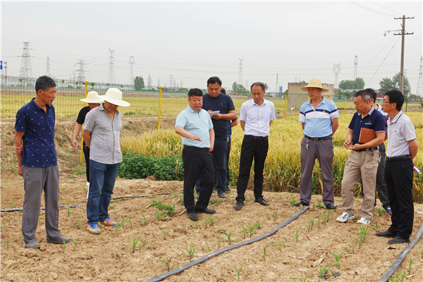 田间试验管理培训.jpg