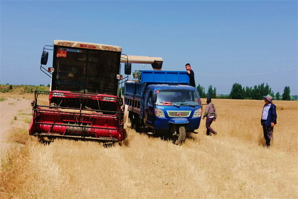 54ed95b558e64a0ea9f80e10a8ce2ada.jpg 科教副产品田间处置.jpg