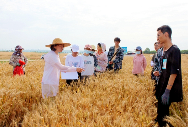 9081ff9f46ac487ebf37651d33f4bd8d.jpg 农学院李红霞老师为实习学生讲解试验材料采样注意事项_副本.jpg