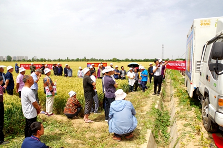 d3e1f35d7d6846429b41574120d4e1bb.jpg 小麦全程管理技术专题培训现场_副本.jpg