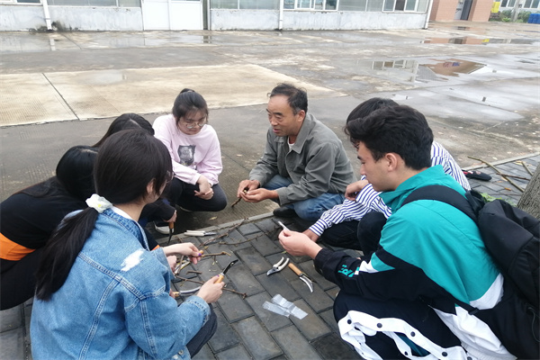 f02ca48d6635467f86f0ba7d2b21ae4a.jpg 专业技术人员为学生讲嫁接技术.jpg