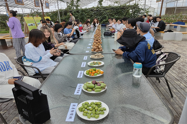 f5377e2b69d6491d8eed88617b512e4c.jpg 学生品鉴猕猴桃.jpg