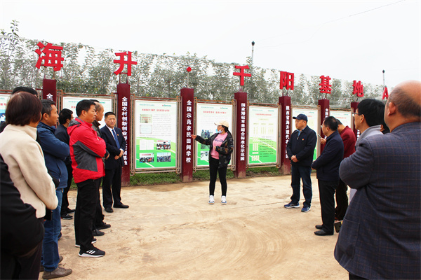 在千阳县南寨镇海升-欧洲国际合作矮砧格架苹果示范园考察学习.jpg