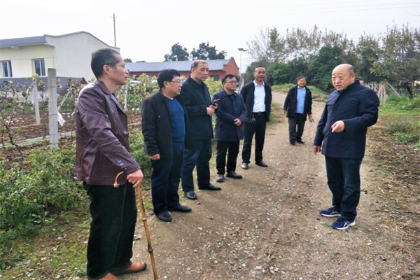 朱荣科在眉县试验站调研_副本.jpg