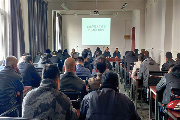a0e347842d714d30a545d54d6b273435.jpg 山地苹果冬季整形修剪技术培训会.jpg
