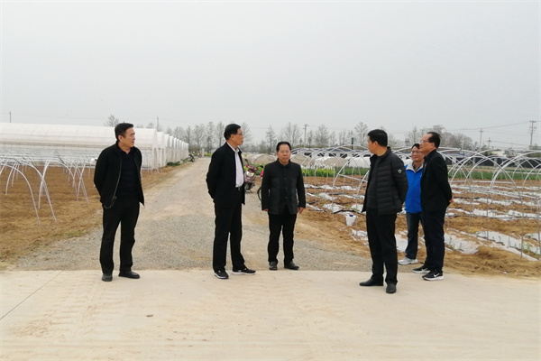 在蔬菜基地调研.jpg