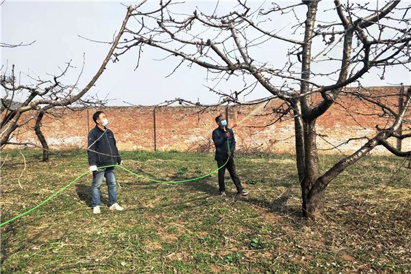 e5e82050104e450ab7ad52deeb3862ae.jpg 眉县试验站职工在给果树喷药防治病虫.jpg