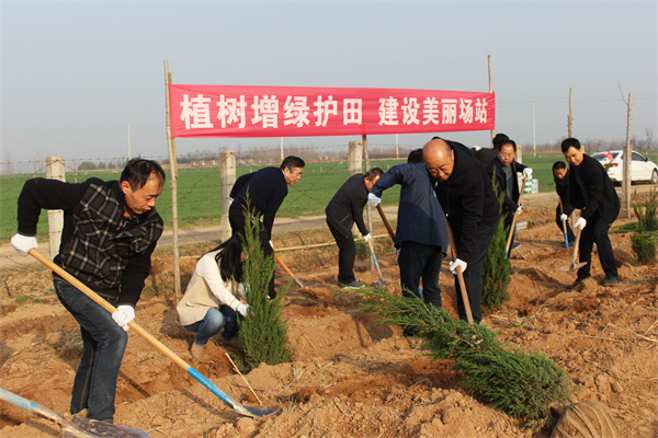 植树活动现场.jpg