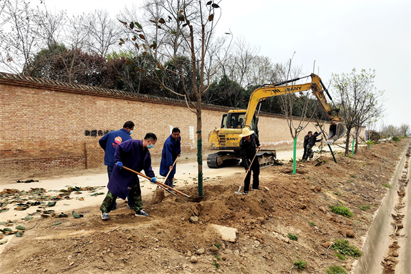 4b479a0052654c38aa0a967981dd4f00.jpg 职工新栽广玉兰树.jpg