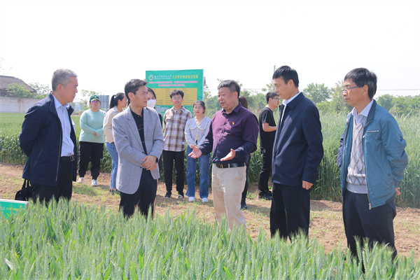 6eb02bf9b5ab48fb825e9da00584b2e6.jpg 检查基地建设01.jpg