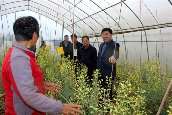 房玉林在蔬菜科研试验基地了解科研项目进展及辅助用工情况.jpg