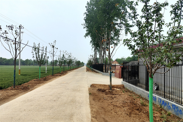 a3ac48e3791e4f4bafaa21b1875f52dc.jpg 整治后办公区门前.jpg