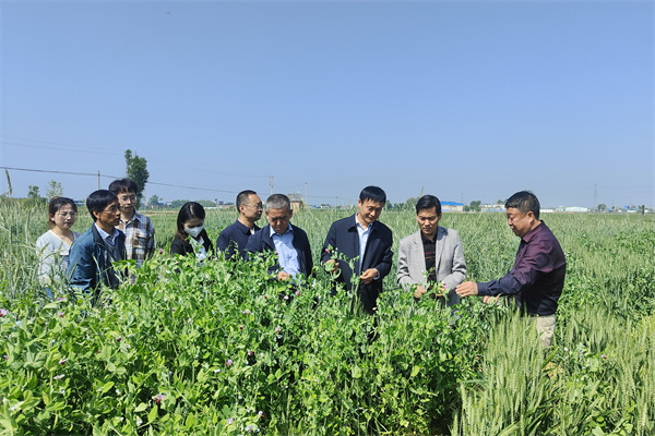 d6ba5fb0d2794a15ba05869a383e4afc.jpg 检查基地建设02.jpg