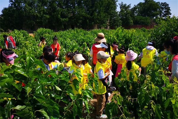 064659f2dbc94323ab8330d3fcd0a7cb.jpg 参观桑园.jpg