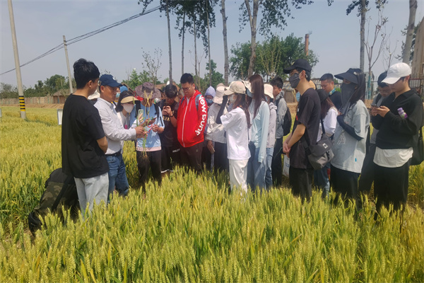 2cf5cc3a513947a7be6ca2522d359838.jpg 作物病虫草害防控课程实践教学.jpg