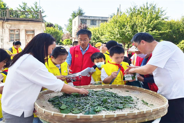 47a44db61a974b1b8c63d0b35587f5de.jpg 领养蚕宝宝.jpg