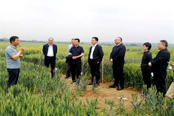 564f12117fc84f1abf0c4ec53a3d64da.jpg 饶慧斌向调研组汇报农场基本情况.jpg