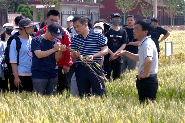 5b6c2a97b861415b8438deb35caac761.jpg 作物病虫草害田间调查.jpg