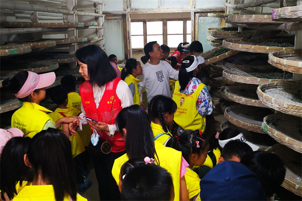 6ff500d562654ae5b5d95097948875f0.jpg 参观家蚕饲育室.jpg