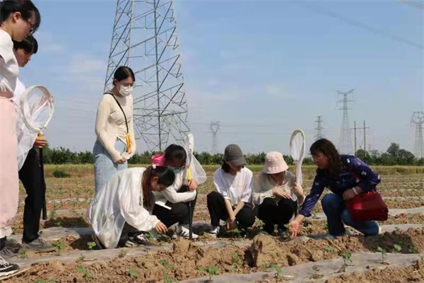 442e99e2e5fd4b58b7f52e72f18805c0.jpg 农作物病虫田间调查.jpg