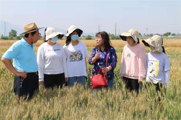 683ab14208a54da2b8cb8b0d8d0744fe.jpg 农药学综合教学实习.jpg