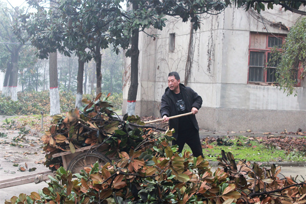 402b9eea4068499aa61d62532bc5d520.jpg 清理修剪后的树枝落叶.jpg