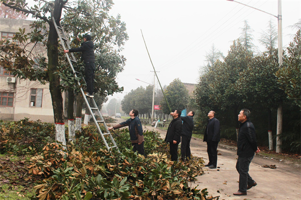 810a9f0dc24847e0a94781583421943e.jpg 修剪行道树.jpg