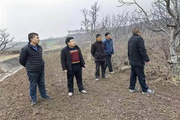 d40df0ce6b5143eab3828cf339167078.png 项目组在试验地进行前期规划设计.png