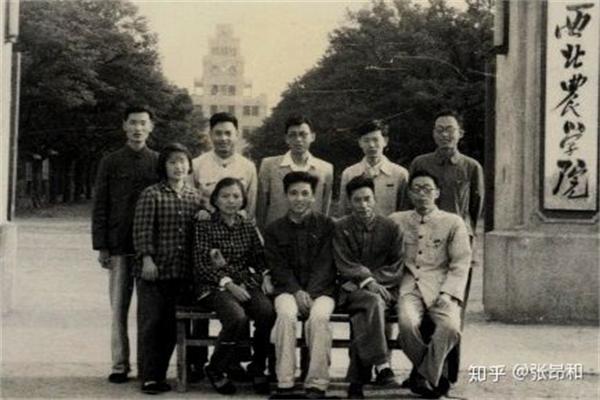 图片30.png