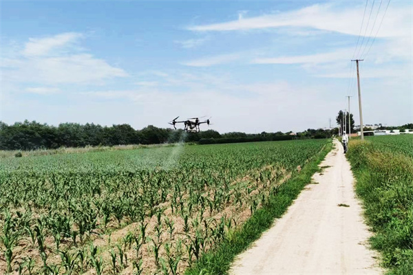 d41bde83ae3c46ca94854e626dbe2350.jpg 飞防作业_副本.jpg